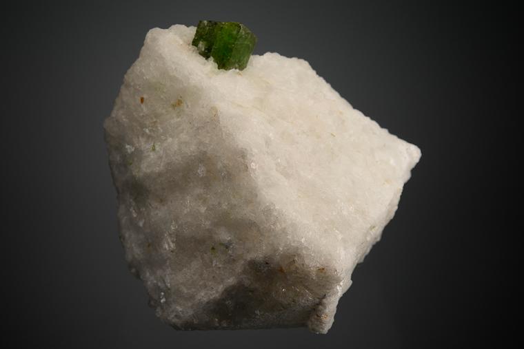 PARGASITE